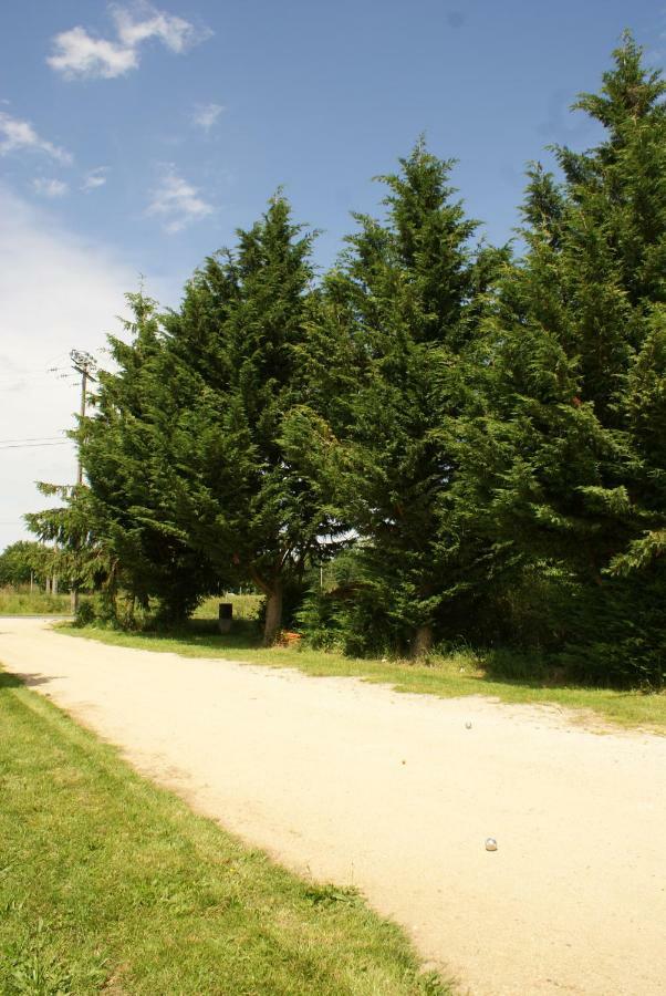 Le Gite Des Potes Lorris Exteriér fotografie